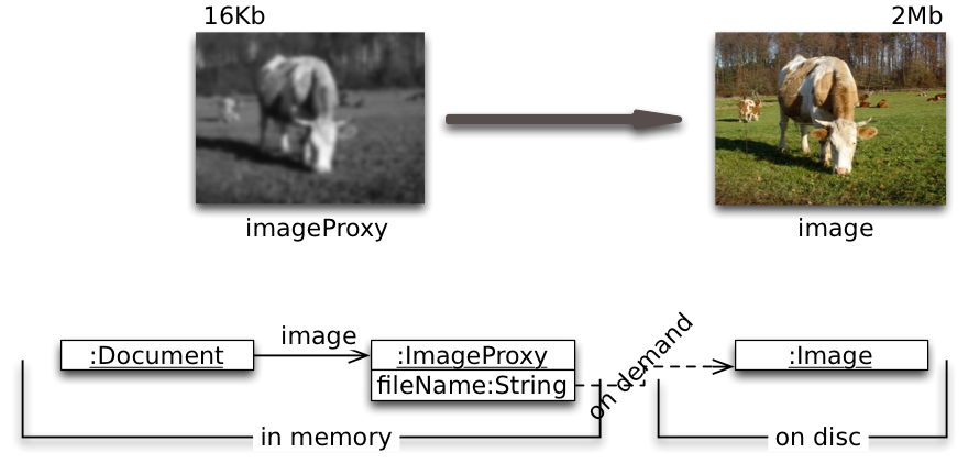 DP Proxy LazyImage Solution